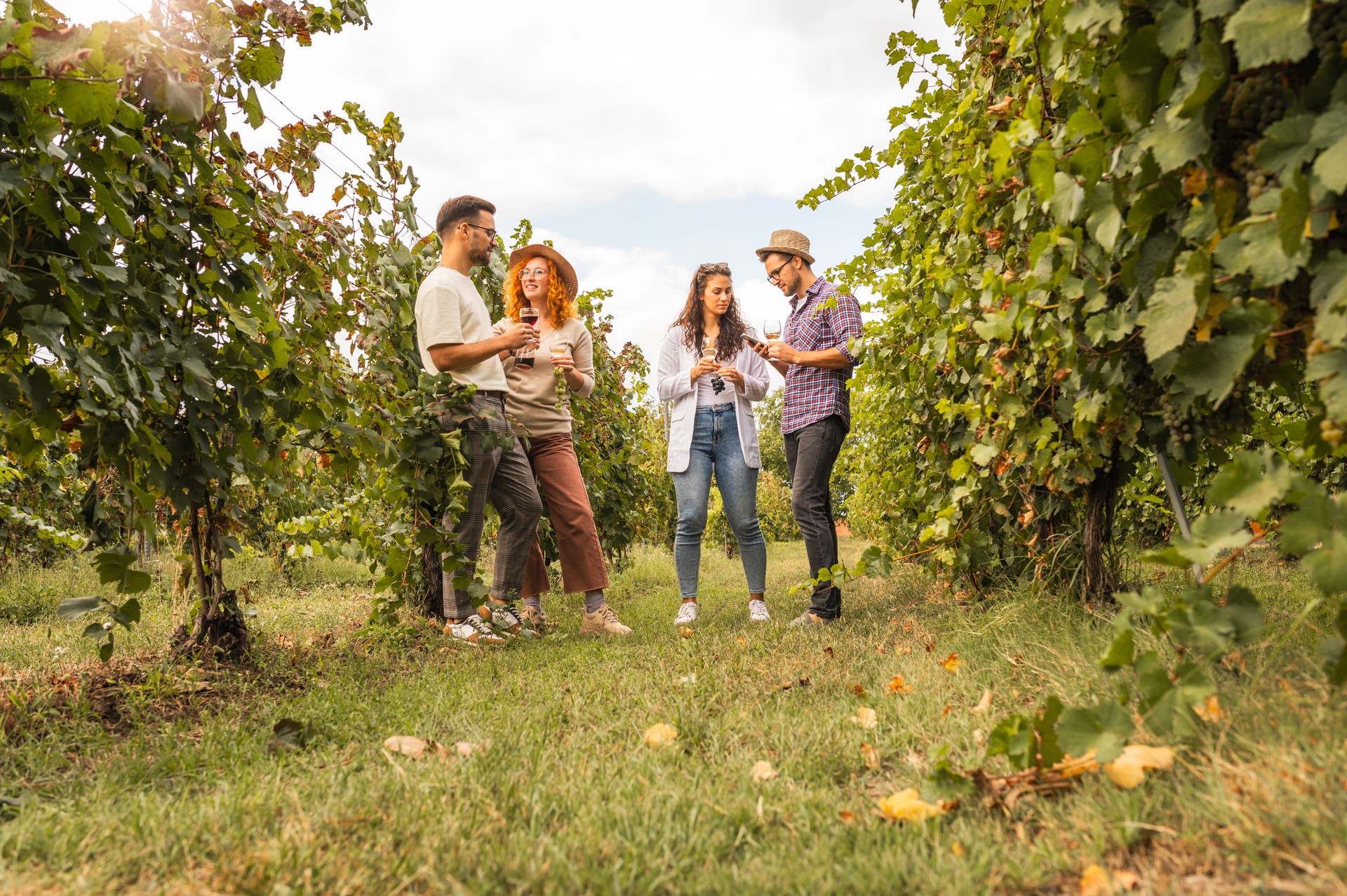 Group of happy young people tasting wine in winery near vineyard. People enjoying harvest time together